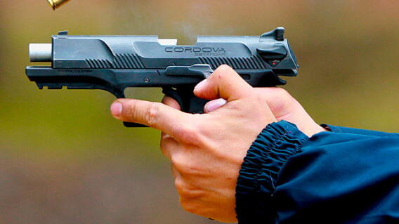 100215-armas-sicarios_1_0.jpg