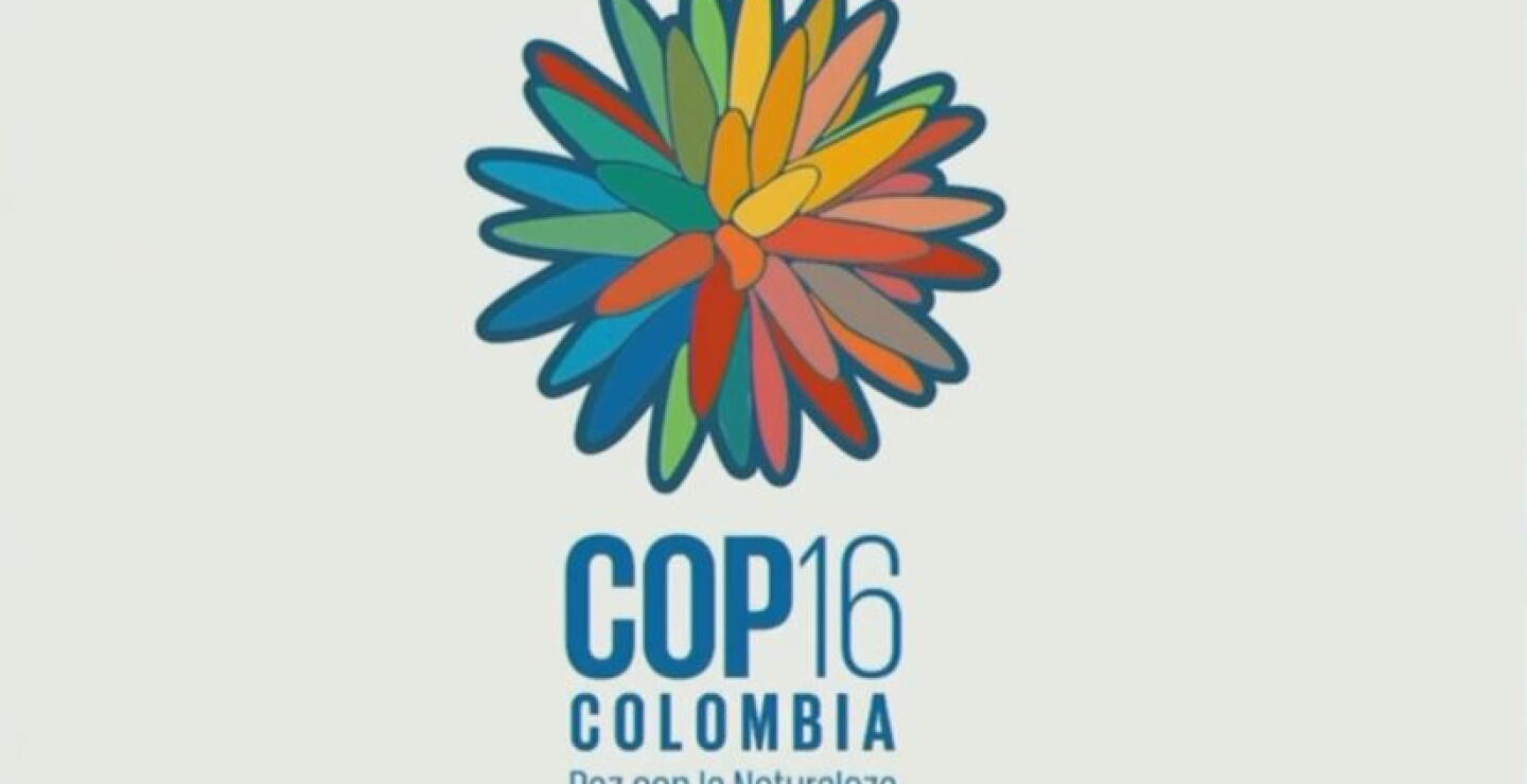 Conozca el logo de la COP16: la flor de Inírida, especie endémica de Colombia