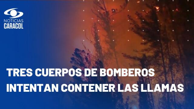 En Páramo de Berlín, incendio ha arrasado con 160 hectáreas y acabó con un valle de frailejones En Páramo de Berlín, incendio ha arrasado con 160 hectáreas y acabó con un valle de frailejones